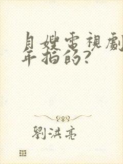 月嫂电视剧是哪年拍的?