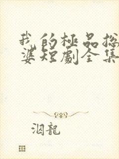 我的极品总裁老婆短剧全集免费