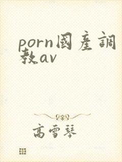 porn国产调教av