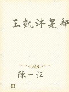 王凯沐是哪年的