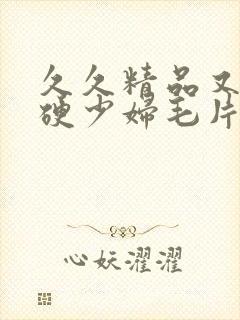 久久精品又粗又硬少妇毛片