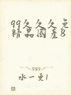 99久久久免费精品国产8