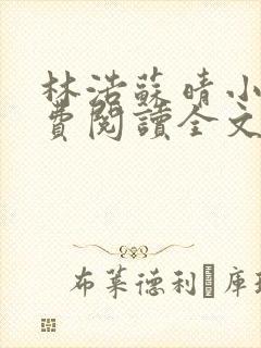 林浩苏晴小说免费阅读全文最新章节