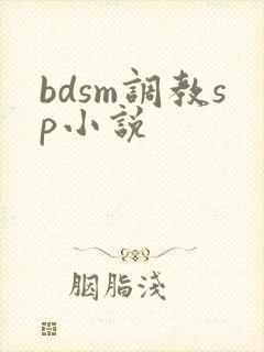 bdsm调教sp小说