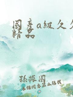 国产a级久久久精品