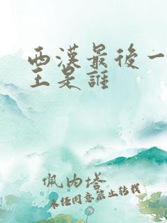 西汉最后一个帝王是谁