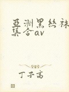 亚洲黑丝袜极品集合av