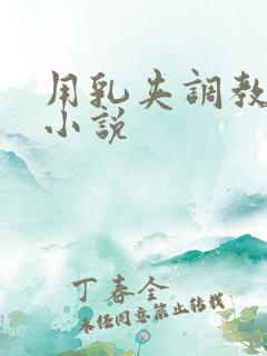 用乳夹调教奶头小说