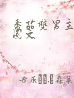 番茄双男主娱乐圈文