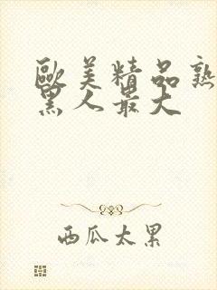 欧美精品熟妇乱黑人最大