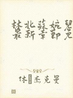 林北苏婉儿萧晴最新章节免费阅读