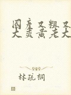 国产又粗又硬又大爽黄老大爷视频