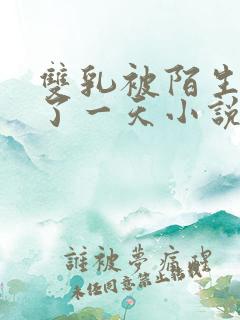 双乳被陌生人摸了一天小说