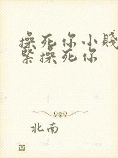 操死你小贱人逼紧操死你