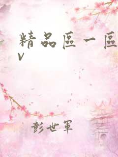 精品区一区二av
