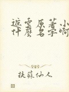 遮云原著小说叫什么名字啊