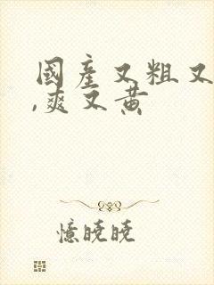 国产又粗又猛又,爽又黄