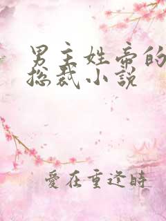 男主姓帝的霸道总裁小说