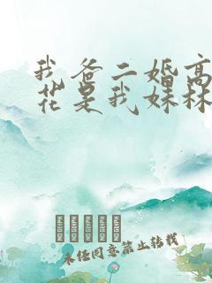 我爸二婚高冷校花是我妹林婉冰