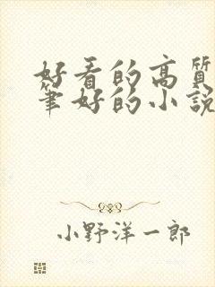 好看的高质量文笔好的小说