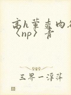 高h荤爽肉欲文〈np〉青