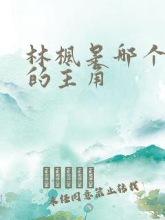 林枫是哪个小说的主角