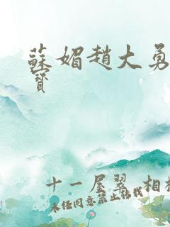 苏媚赵大勇赵大宝