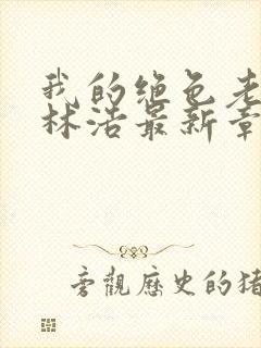 我的绝色老板娘林浩最新章节更新