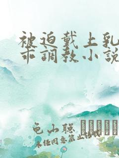 被迫戴上乳夹乖乖调教小说