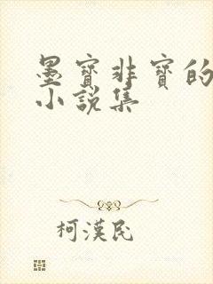墨宝非宝的全部小说集