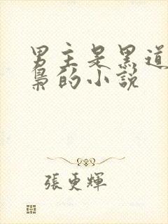 男主是黑道或毒枭的小说