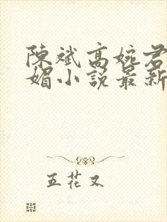 陈斌高婉君赵心媚小说最新章节