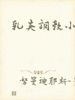 乳夹调教小说