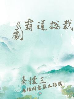 《霸道总裁》韩剧