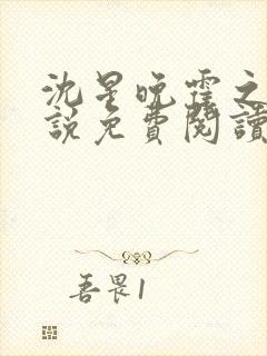 沈星晚霍之洲小说免费阅读最新章节