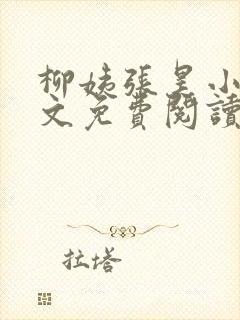 柳姨张昊小说全文免费阅读