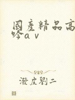 国产精品高潮呻吟aⅴ