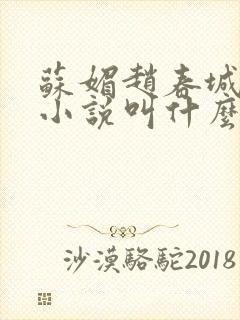 苏媚赵春城原著小说叫什么