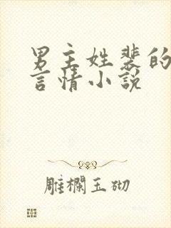 男主姓裴的现代言情小说