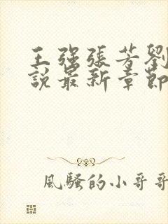 王强张芳刘芳小说最新章节更新时间