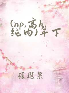 (np,高h,纯肉)年下