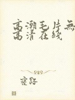 高潮毛片无遮挡高清在线