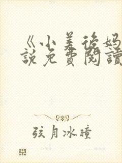 《小美后妈》小说免费阅读