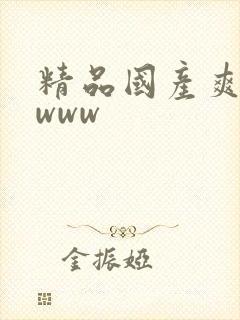 精品国产爽爽爽www
