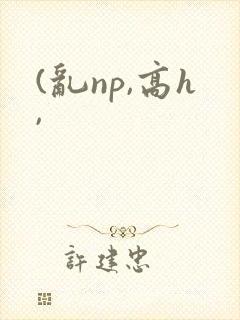 (乱np,高h,