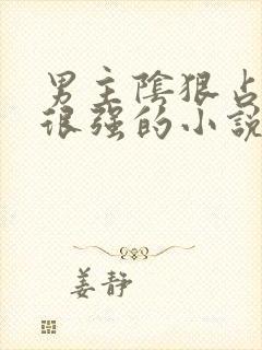 男主阴狠占有欲很强的小说现言