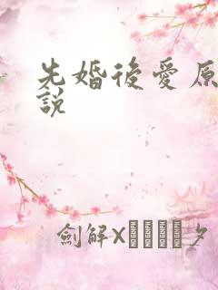 先婚后爱原耽小说