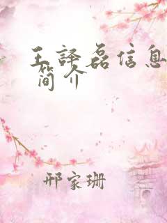 王译磊信息介绍 简介