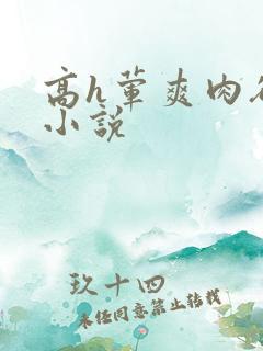 高h荤爽肉欲文小说