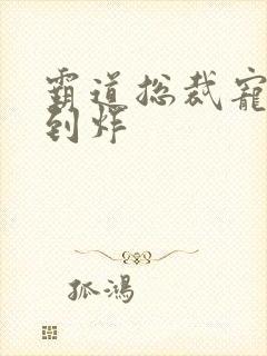 霸道总裁宠文甜到炸